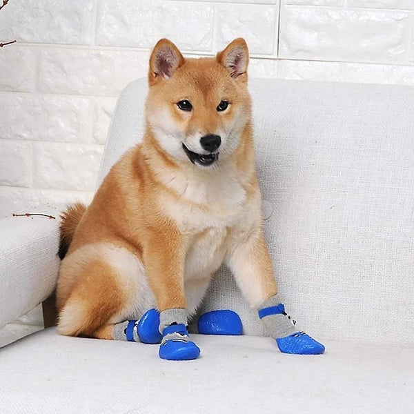 Non-slip Dog Socks, Waterproof Dog Boots, Cotton Pet Shoes, Indoor Pet Paw Prote Carousel 5