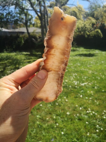 Plume Agate slab Stunning high quality from canterbury Carousel 1