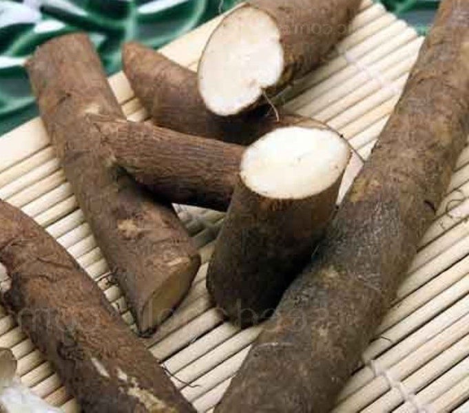 Burdock Takinogawa Long : Fast growth/Nutritious, Salads or cooked. Min 4 seeds Carousel 2