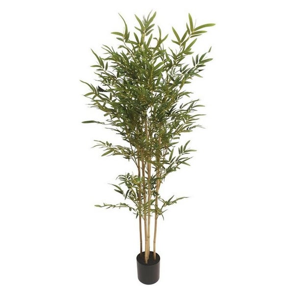 Rembrandt Bamboo Tree (IV3008) Carousel 1