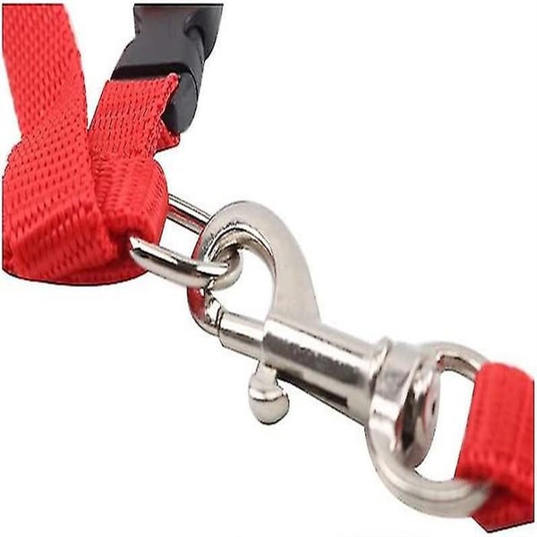 Adjustable Nylon Cat and Kitten Harness with Leash - Red Carousel 5