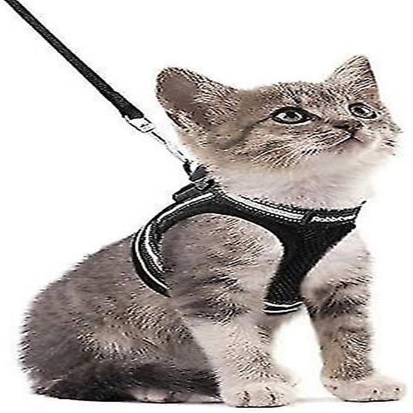 Cat Harness With Leash, Breathable Kitten Harness With Reflective Strips Carousel 1
