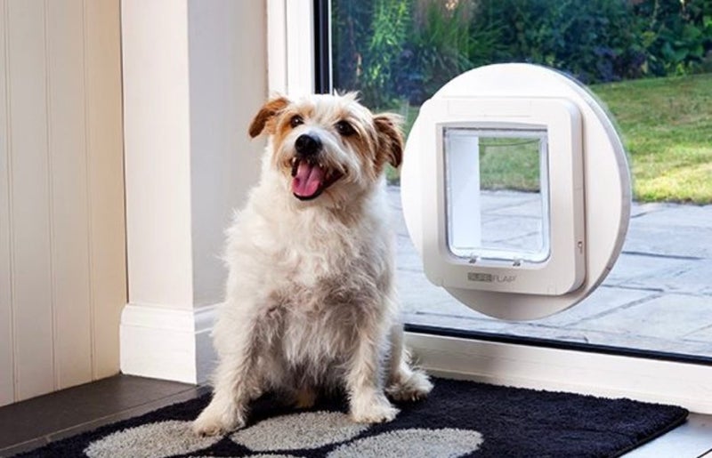 SureFlap Microchip Pet Door double glazed glass fitted in