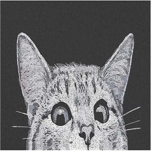 Cat Front Door Mat Indoor Outdoor Welcome Mat Mud Absorbent Doormat, Entrance Ma Carousel 1