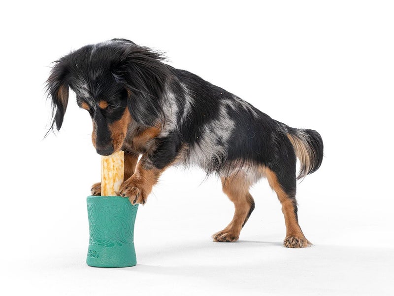 West Paw Seaflex Funnl Carousel 4