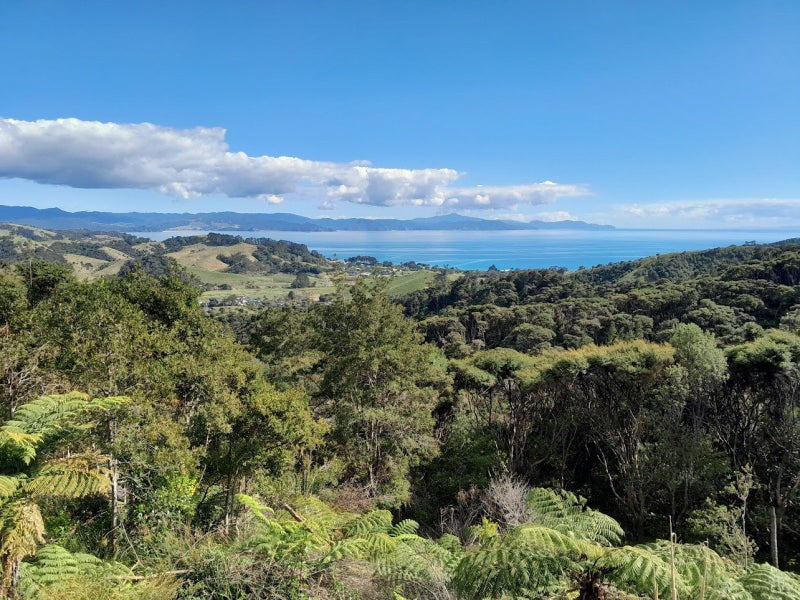 Image 1 of 14