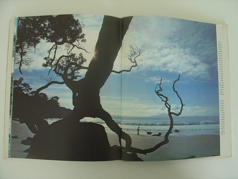 New Zealand Gift of the Sea, An Iconic NZ Book Carousel 12