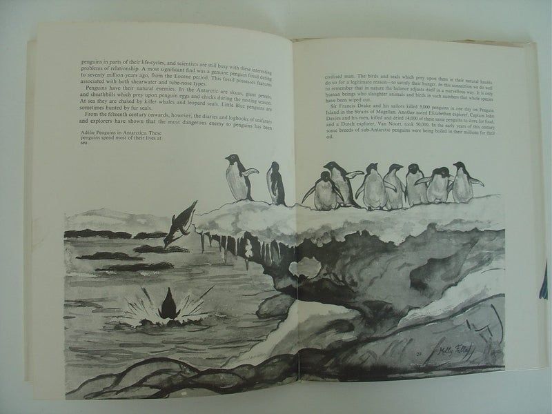 A Pocketful of Penguins by Molly Falla Carousel 10