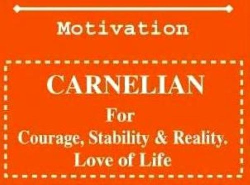 Bracelet - Carnelian (Set of 6) Carousel 2