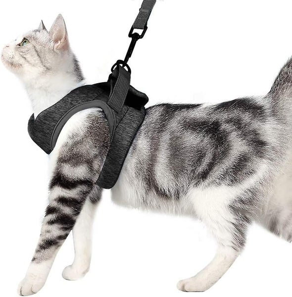Soft And Comfortable Ultralight Cat Harness And Leash - Suitable For Puppy Rabbi Carousel 1