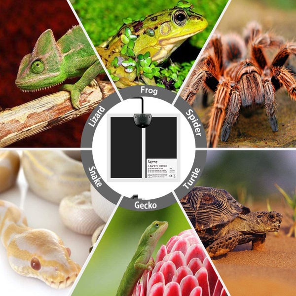 Reptiles Heat Mat 5W 2-Pack for Lizard Spider Turtle Incubator Carousel 6