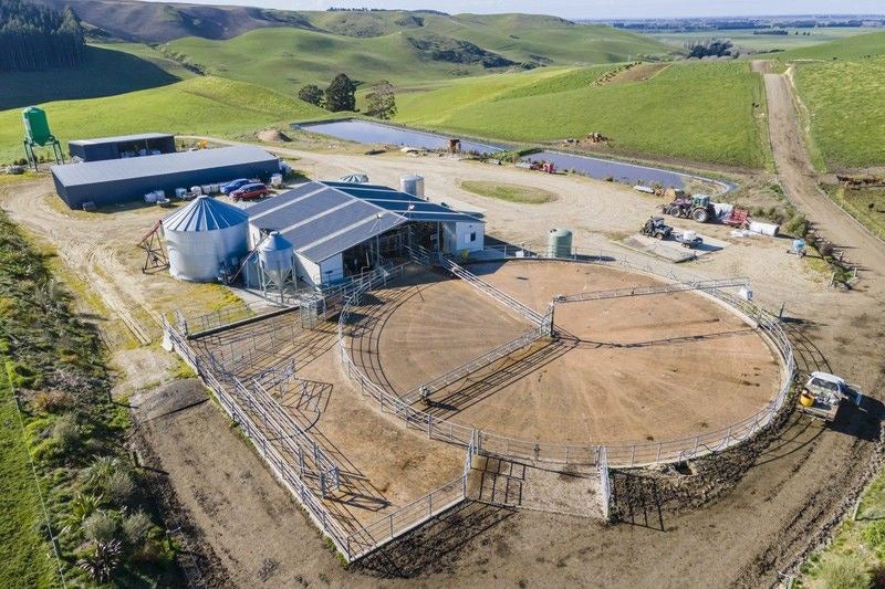 Waimate Rural properties Trade Me Property