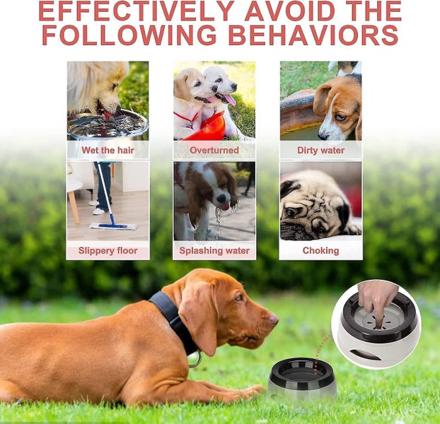 Pet Floating Water Bowl - Anti-Overflow Non-Spill Water Bowl for Dogs and Cats, Carousel 2