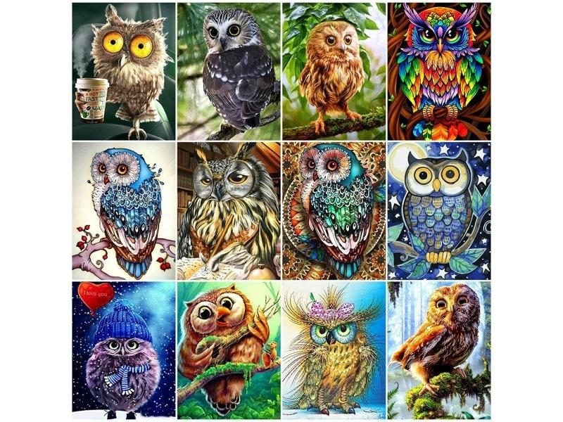 EverShine Diamond Mosaic Full Square Owl Rhinestones Art Animal Diamond Carousel 2