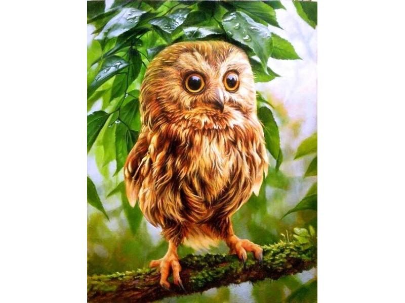 EverShine Diamond Mosaic Full Square Owl Rhinestones Art Animal Diamond Carousel 1