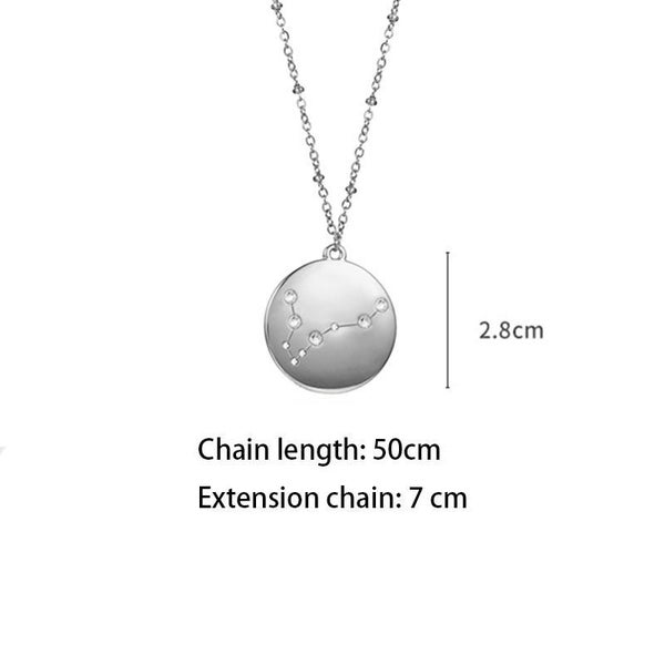 12 Constellation Coin Disc Silver Necklace -Pisces Carousel 2