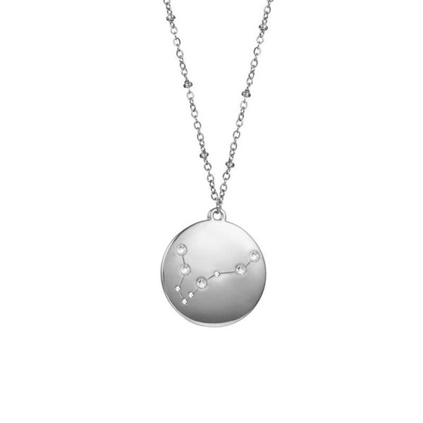 12 Constellation Coin Disc Silver Necklace -Pisces Carousel 1