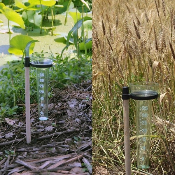 Rain Gauge Up to 35mm Measurement Tool NEW Carousel 1