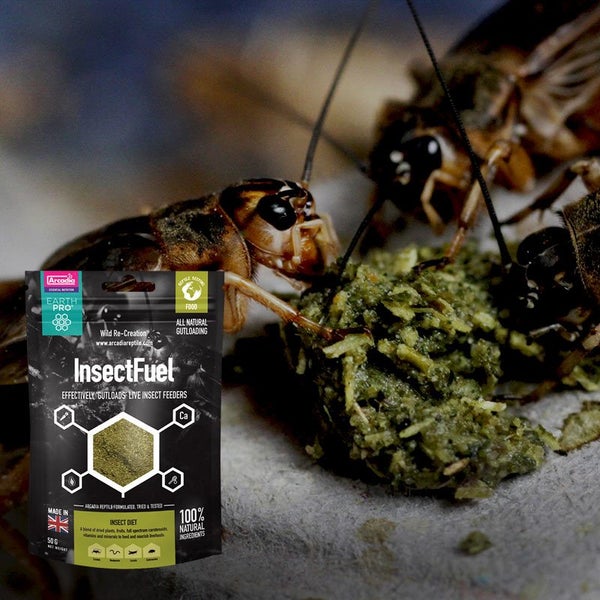 Arcadia EarthPro InsectFuel 250g ***SPECIAL*** Carousel 2