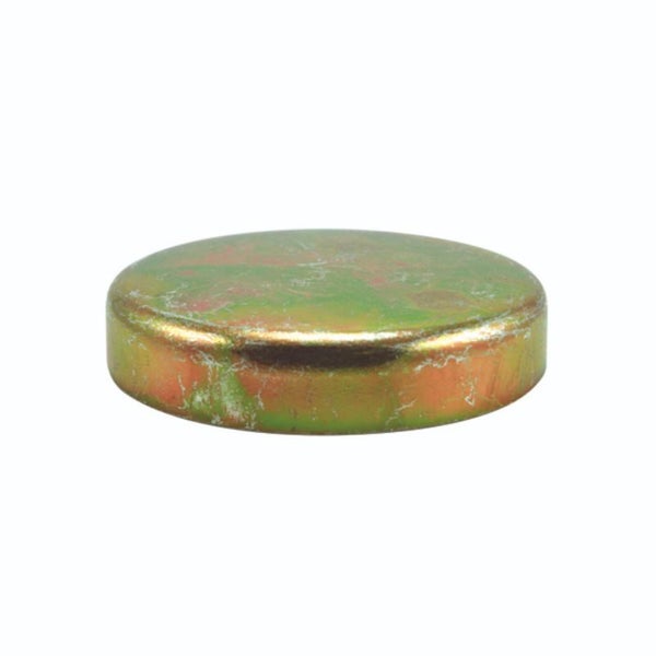 Champion 25mm Steel Welsh Plug - 10pk Carousel 1