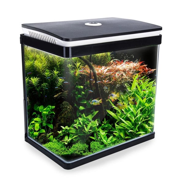 Dynamic Power Aquarium Fish Tank 30l Curved Glass Rgb Led Carousel 1