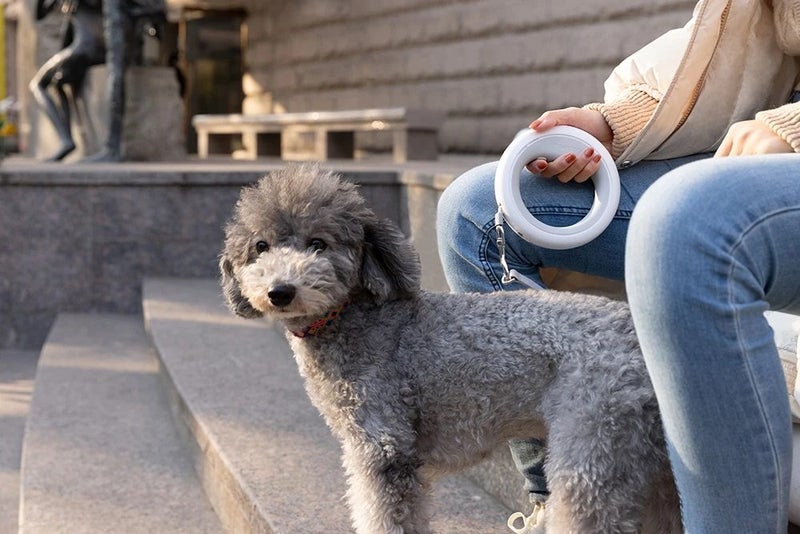 Dog Retractable Leash Pet Traction Rope LED Flashlight Safety Leashes Ropes 3M Carousel 16