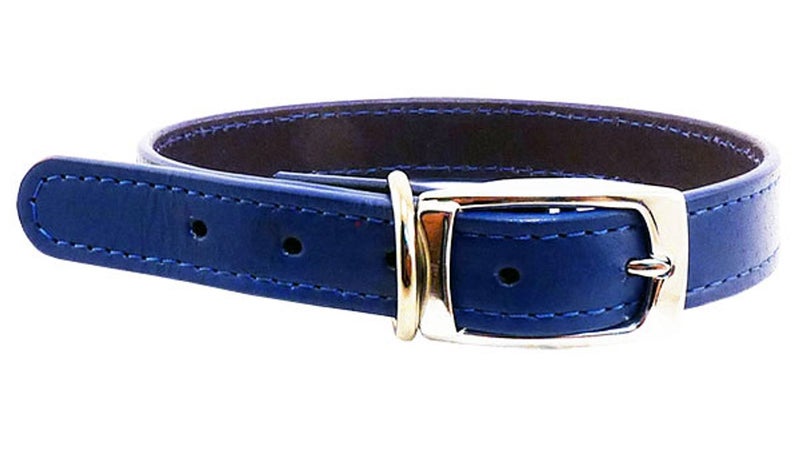 Leather Stitched 25mm Collar - Blue ^55cm Carousel 1