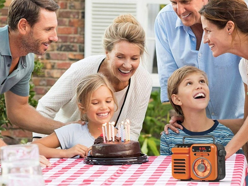 Portable FM Radio Brand New Carousel 13