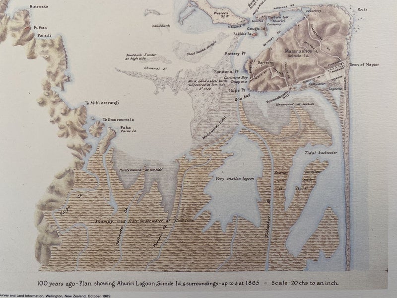 VINTAGE MAP: Napier pre and post earthquake 1865 and 1965 Carousel 4