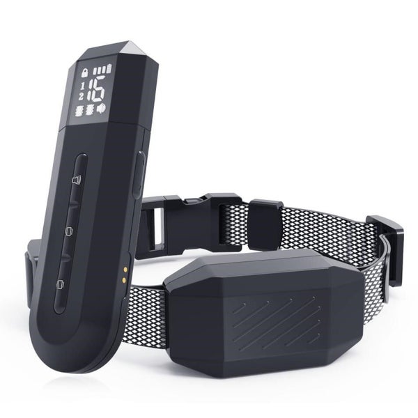 Dog Training Collar Carousel 1