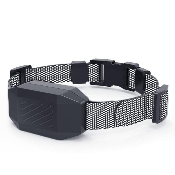 Dog Training Collar Carousel 2