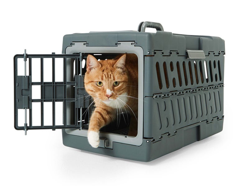 Collapsible Plastic Pet Carrier 55cm x 32cm x 36cmH *RRP $65.00 Carousel 2