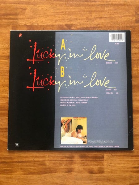 Mick Jagger Carousel 2