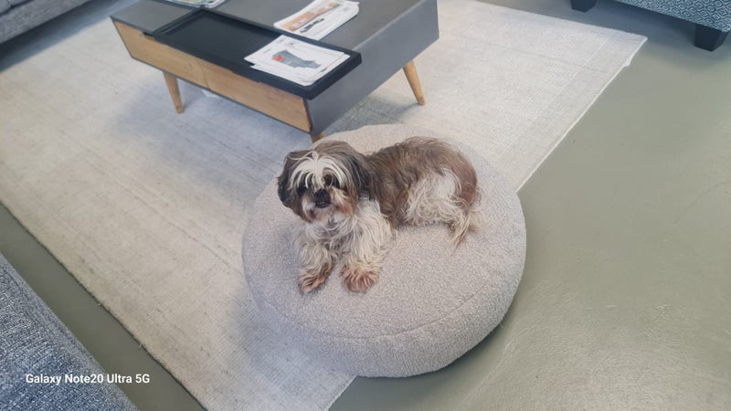 Dogs Bed Starting from $299.00. Carousel 1