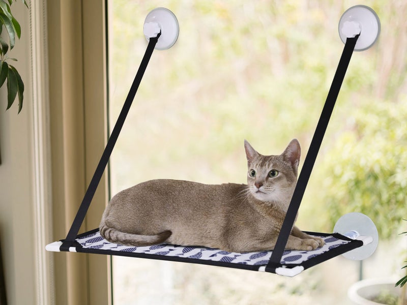 Cat Window Hammock Carousel 1