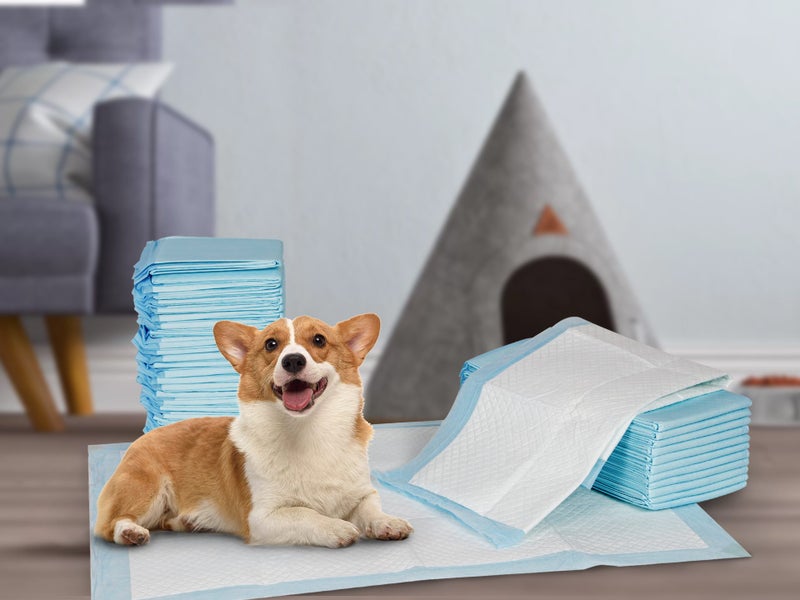 Pet Dog Training Pads Carousel 1