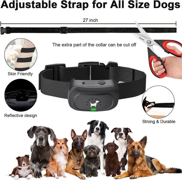 New Dog Training Collars on Afterpay63625236263041114