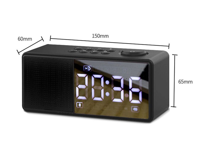 Portable FM Radio Brand New Carousel 8