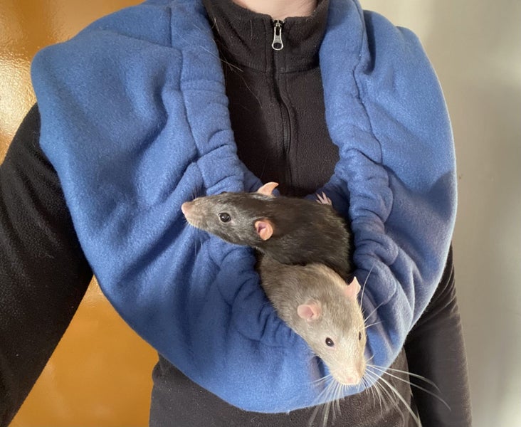 Small Animal Bonding Scarf - Choose up to 2 colours! Carousel 1