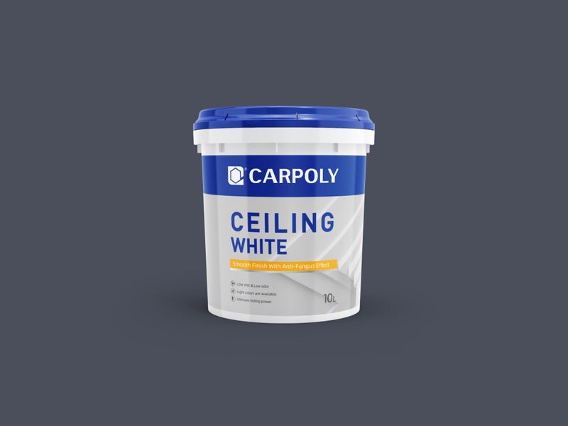 Wall Paint for Ceiling Carousel 1
