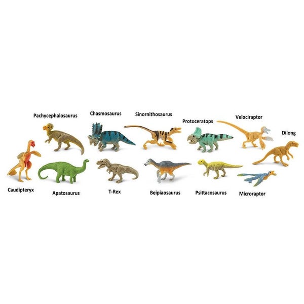 Safari Ltd Feathered Dinos Toob Carousel 2