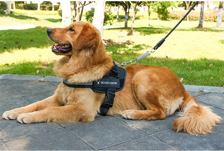 Heave Duty Reflective Dog Vest Breathable Pet Harness with Handle and 2 Leashes Carousel 1