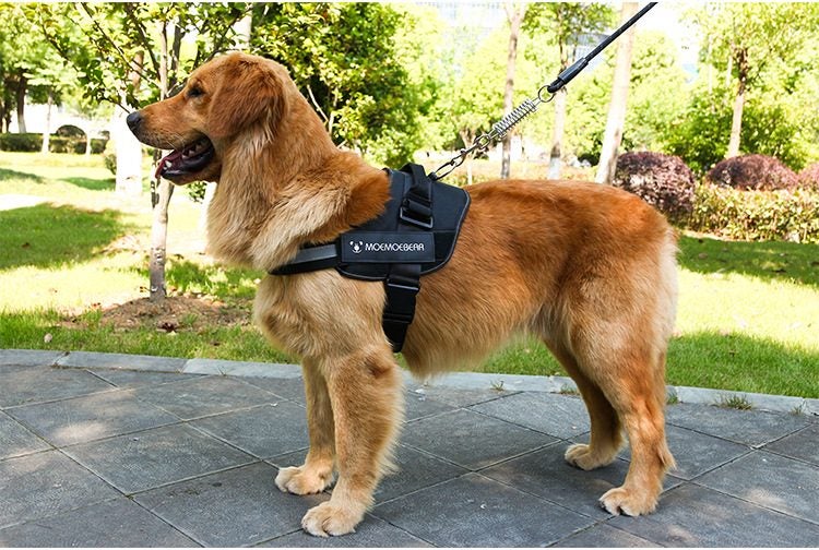 Heave Duty Reflective Dog Vest Breathable Pet Harness with Handle and 2 Leashes Carousel 2