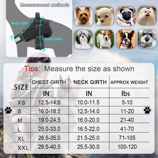 Heave Duty Reflective Dog Vest Breathable Pet Harness with Handle and 2 Leashes Carousel 6