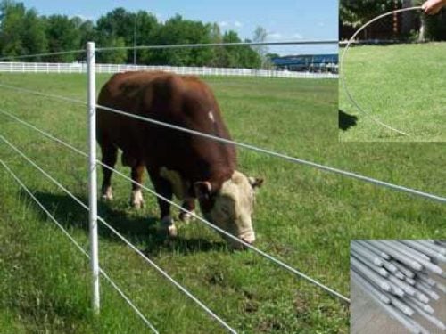 20pcs Permier Fiberglass Post(1500mmx10mm) -- new Carousel 1