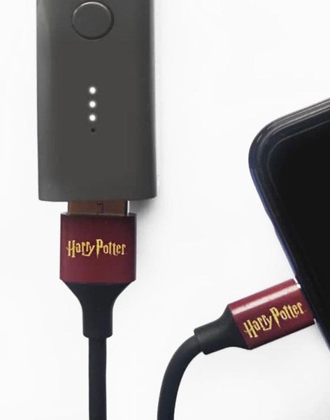 Harry Potter 1M USB To Type-C- Charging Cable - 16 DC Carousel 3