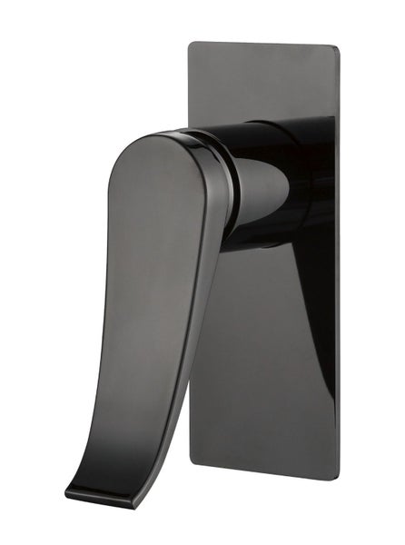 Shower Mixer - Dark Metal Carousel 1