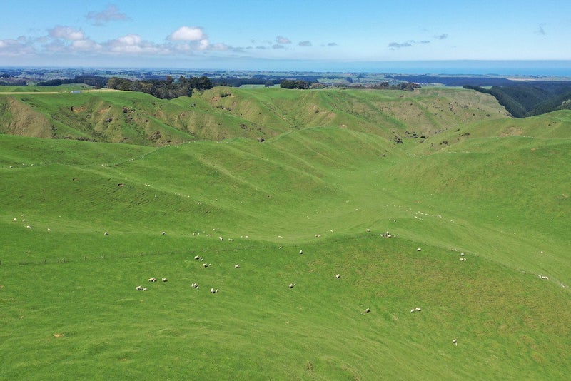 Image 1 of 35