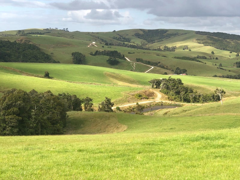 Image 1 of 29
