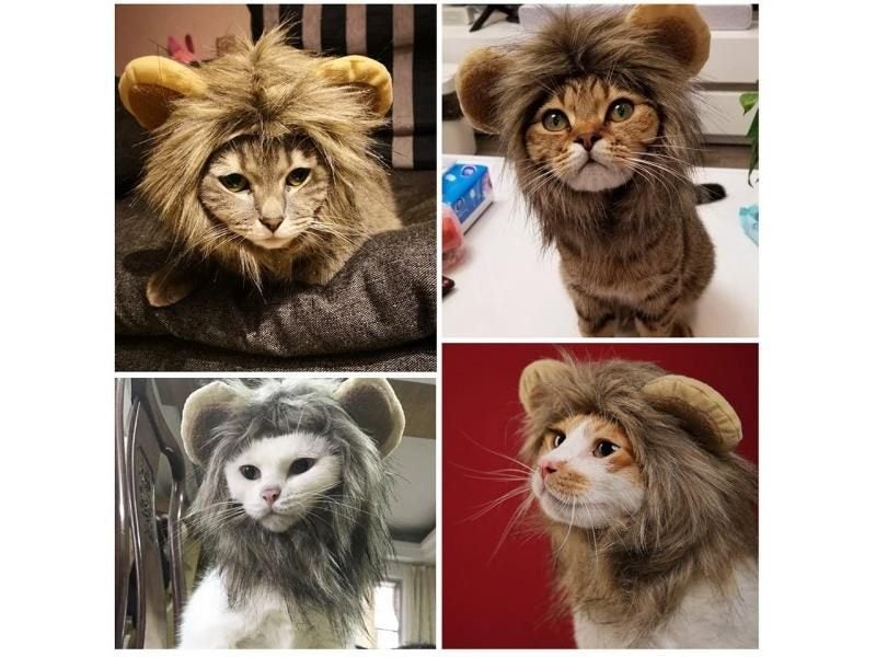 Cute Lion Mane Cat Wig Pet Small Dog Cats Costume Lion Mane Wig Cap Hat For Cat Carousel 6
